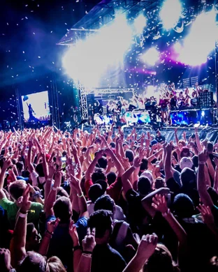 Mitis Boston