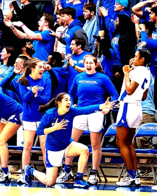 Assumption College Greyhounds Worcester