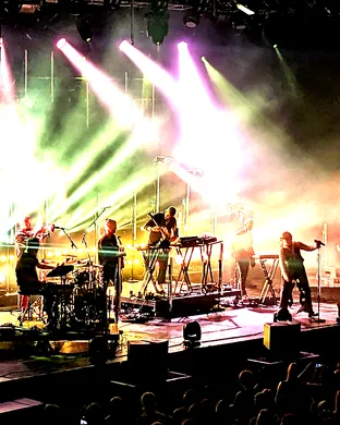 Bonobo Boston