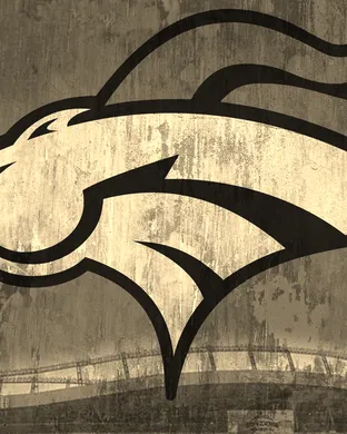 Denver Broncos Foxborough
