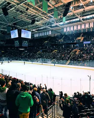 Denver Pioneers Hockey Denver