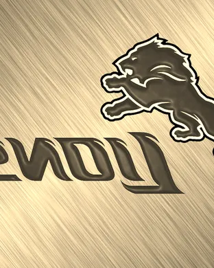 Detroit Lions Detroit