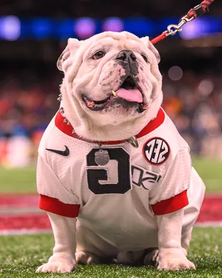 Georgia Bulldogs Athens