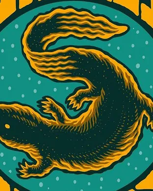 Hellbender Cambridge