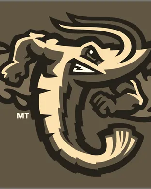 Jacksonville Jumbo Shrimp Worcester