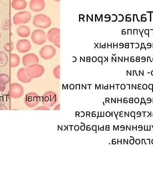 Jeffrey Nothing Providence