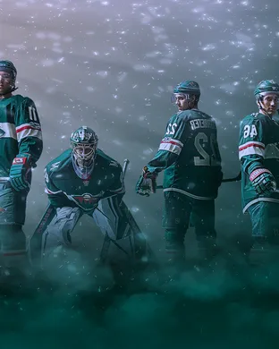 Minnesota Wild Saint Paul