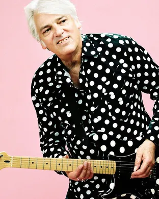 Robyn Hitchcock Allston