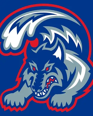 Stony Brook Seawolves Stony Brook