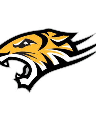 Towson Tigers Pawtucket