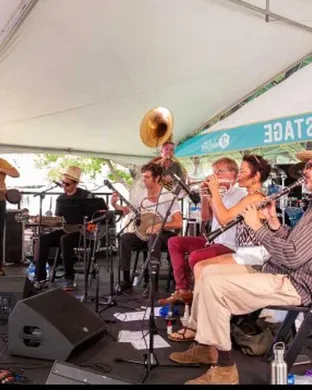 Tuba Skinny Nashua