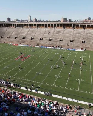 Maryland Whipsnakes Allston