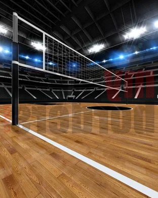 Stanford Cardinal Women's Volleyball Stanford