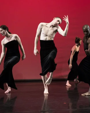 BoSoma Youth Company: More Than Motion